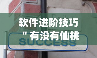 软件进阶技巧 ＂有没有仙桃晃晃开挂是真的吗”作弊(透视)透视辅助