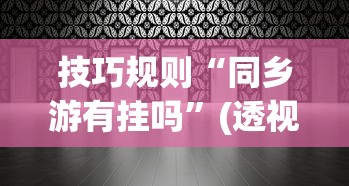 技巧规则“同乡游有挂吗”(透视)开挂详细教程