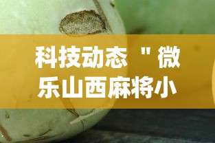 科技动态 ＂微乐山西麻将小程序怎么可以赢”开挂(透视)辅助