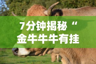 7分钟揭秘“金牛牛牛有挂吗”详细辅助教程分享